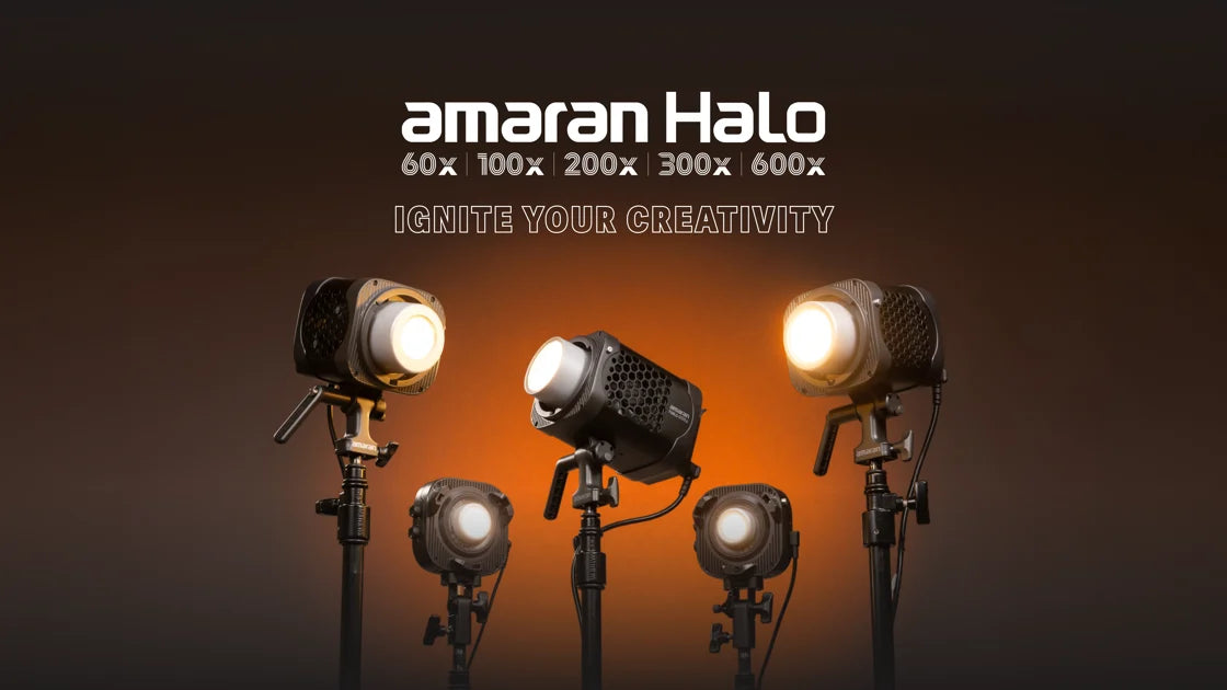 amaran Halo 60x