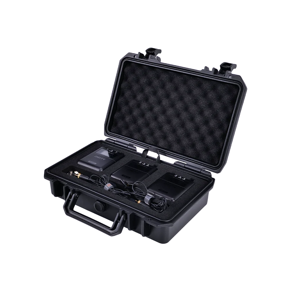 Kit sans fil numérique 2 canaux THEOS (mondial)