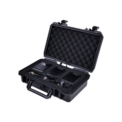 Kit sans fil numérique 2 canaux THEOS (mondial)