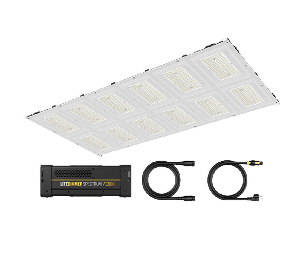 LiteGear -Auroris System